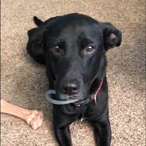 Meet your Posher, Haley